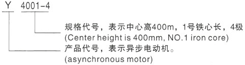 西安泰富西玛Y系列(H355-1000)高压黑龙江三相异步电机型号说明