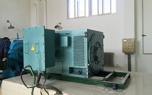 黑龙江某水电站工程主水泵使用我公司高压电机哪家好